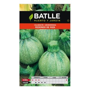 CALABACIN REDONDO DE NIZA SOBRE