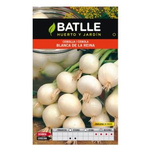 CEBOLLA BLANCA DE LA REINA SOBRE