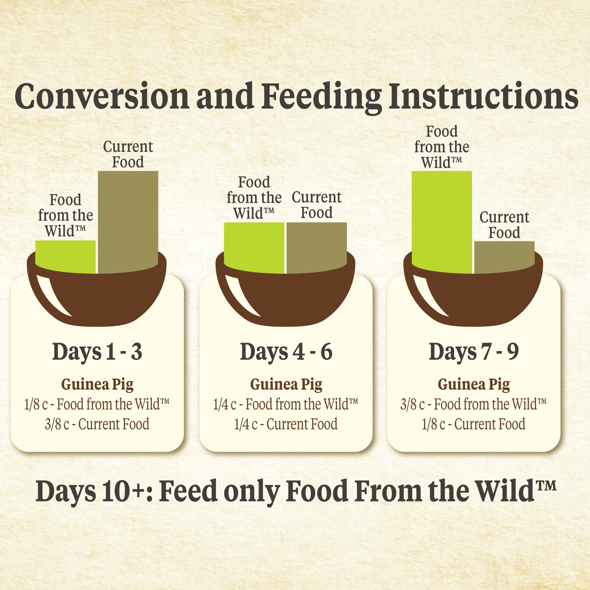 Kaytee Food From The Wild Guinea Pig Alimento para Cuyos 1.81 Kg - Imagen 4