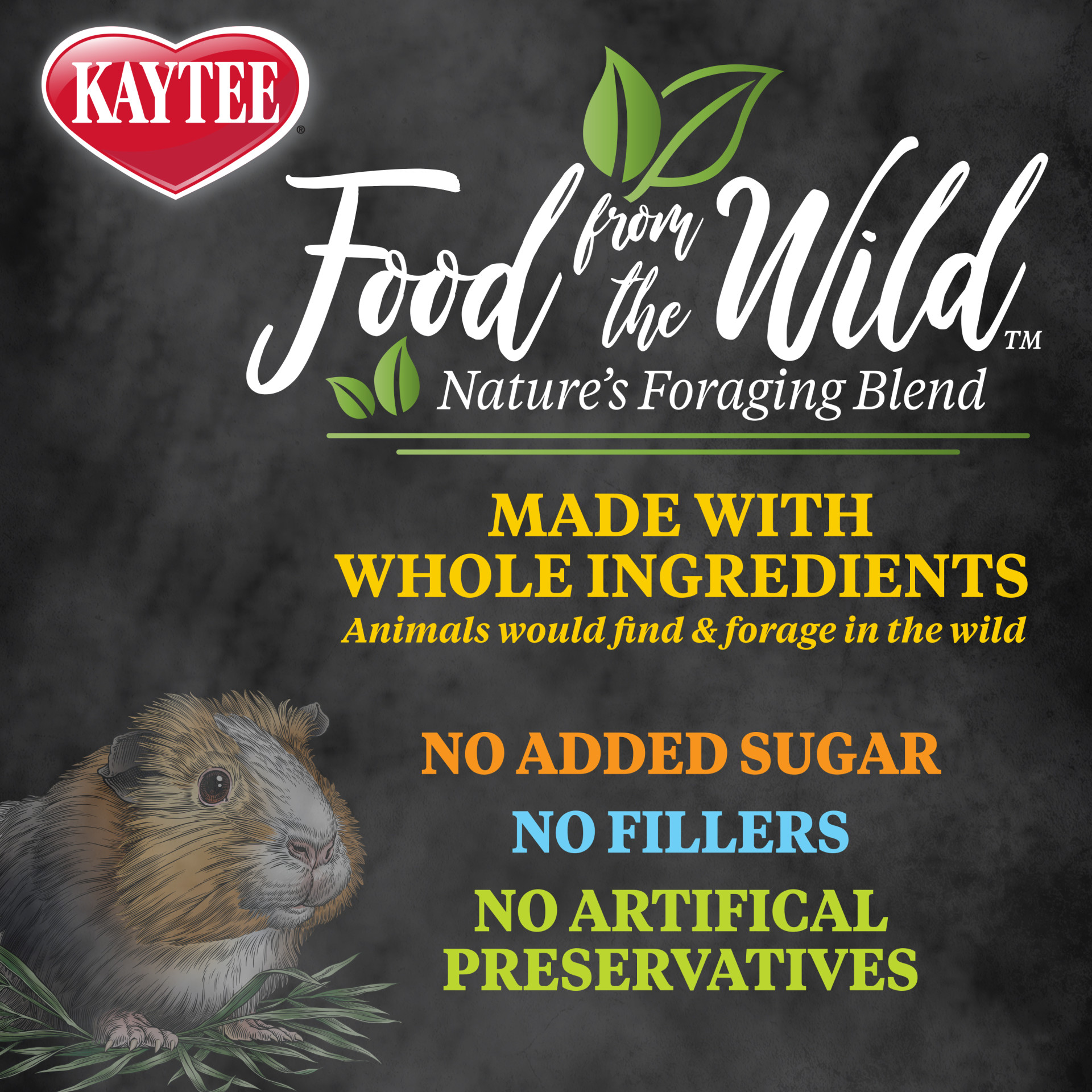 Kaytee Food From The Wild Guinea Pig Alimento para Cuyos 1.81 Kg - Imagen 2