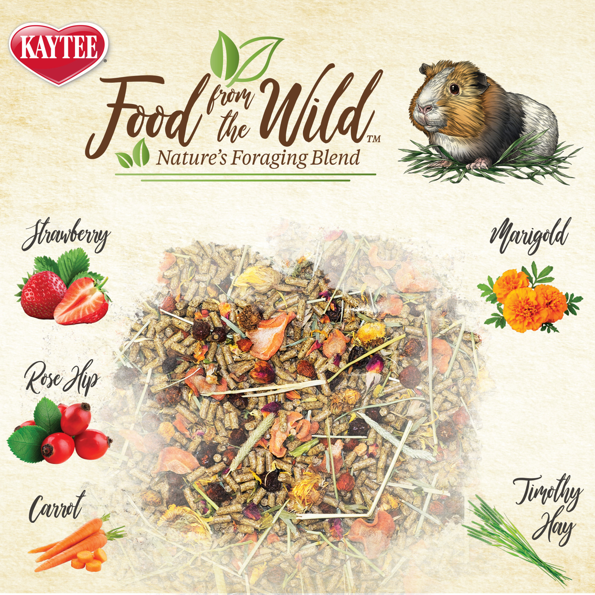 Kaytee Food From The Wild Guinea Pig Alimento para Cuyos 1.81 Kg - Imagen 3