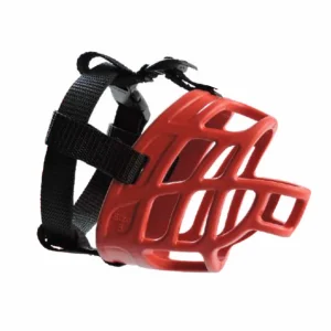 BOZAL NUMERO 2 XR0100 (200)