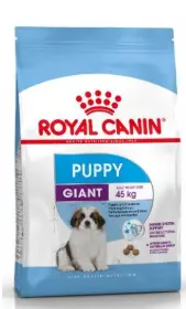 ROYAL CANINE PUPPY GIANT