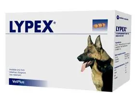 LYPEX BLISTER 60CAP (NDR)