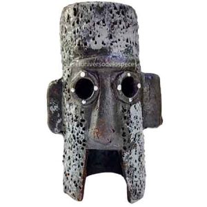 Ceramica Casa calamardo grande