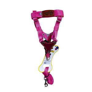 Arnes resistente para perro elmonopet talla S