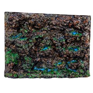 Fondo 3D para acuario de 55 litros