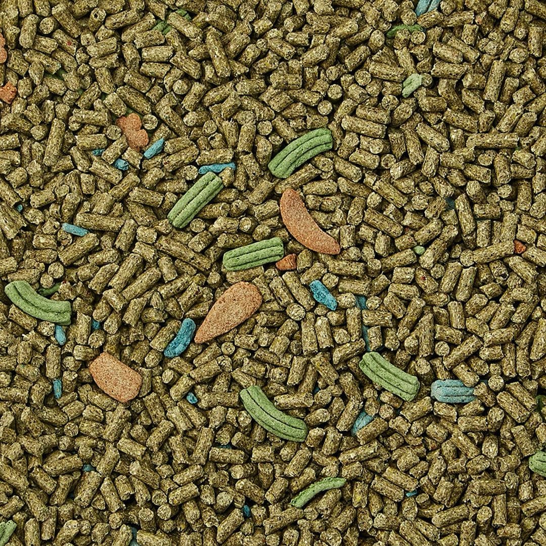 Kaytee Forti-Diet Pro Health Guinea Pig Food Alimento para cuyo 2.27 Kg - Imagen 2