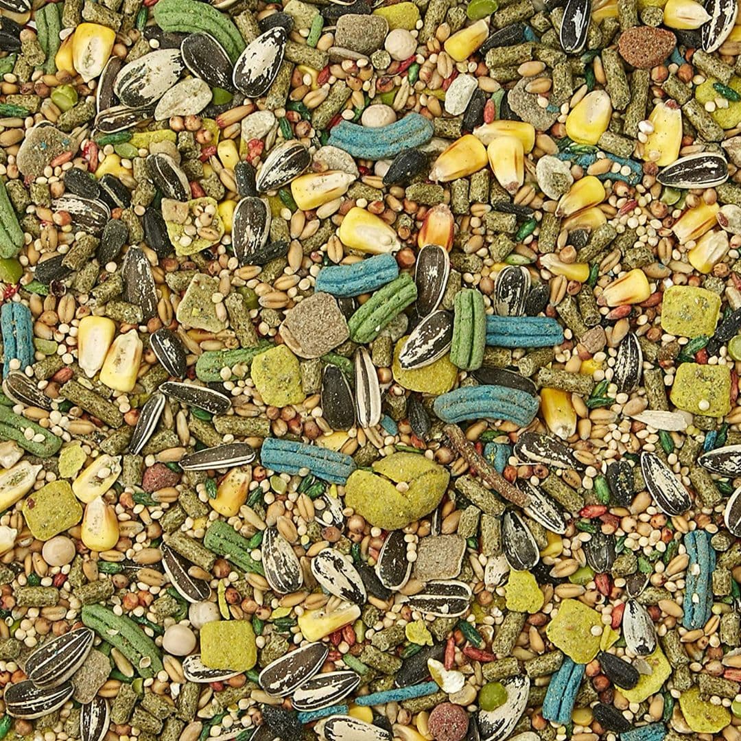 Kaytee Forti-Diet Pro Health Hámster and Gerbil Food Alimento para Hámster y Jerbo 1.36 Kg - Imagen 2