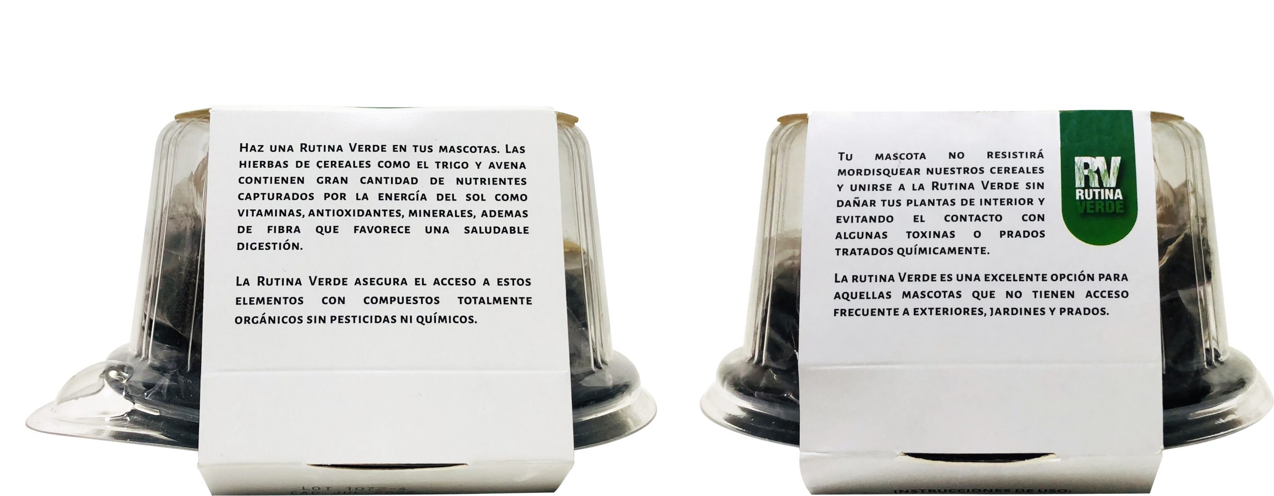 RUTINA VERDE TRIGO - Imagen 2