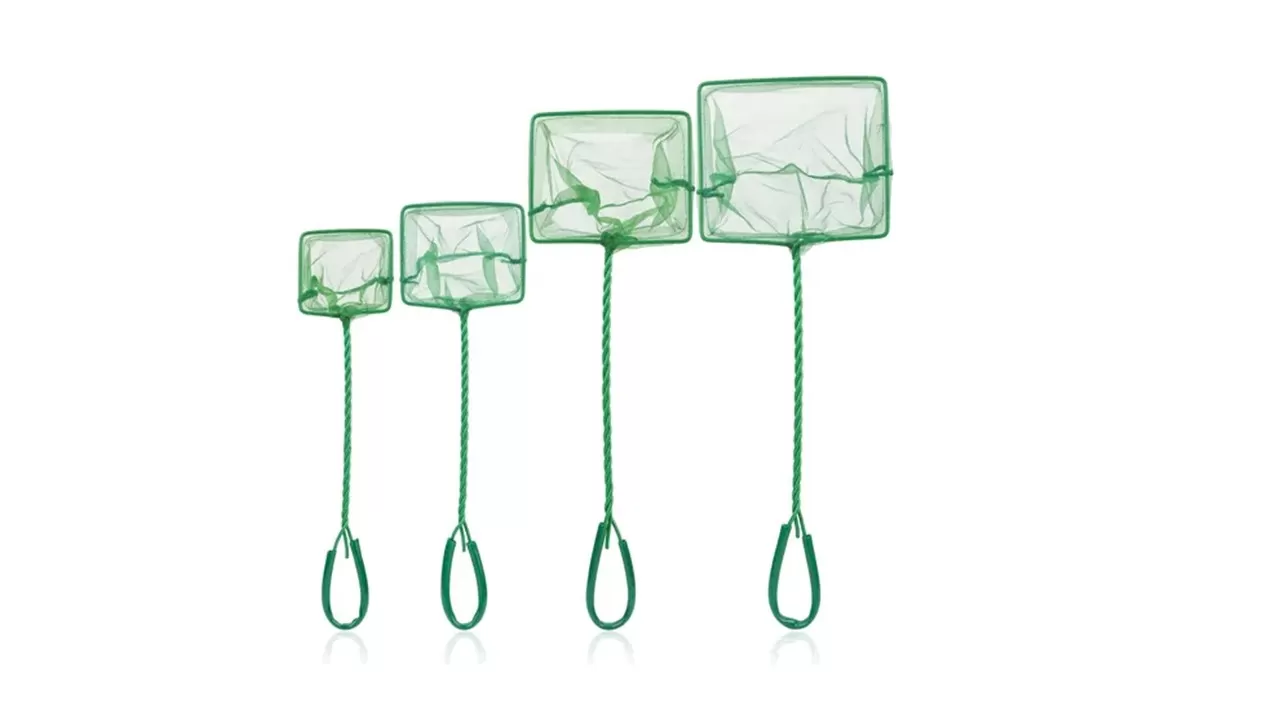 RED O NASA PARA ATRAPAR PECES DE ACUARIO EN ALAMBRE 8″ FN- 19 CM DE LARGO*16 CM DE ANCHO