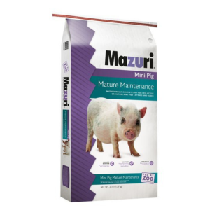 Mazuri Mini Pig Matute Maintenance / Alimento para Mantenimiento de Cerdito 11.33 Kg.