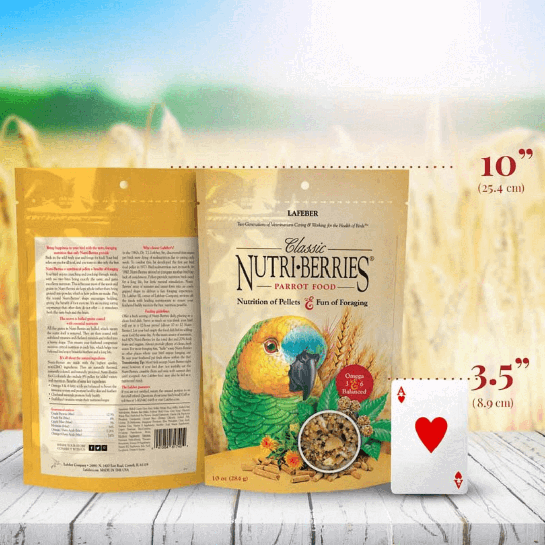 Lafeber Parrot Classic Nutri-Berries Premio – Snack para Loros 284 g - Imagen 5