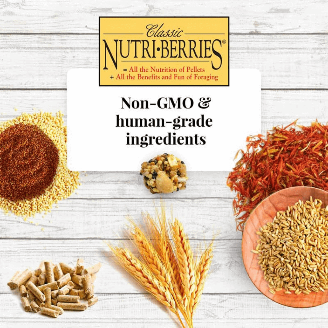 Lafeber Parrot Classic Nutri-Berries Premio – Snack para Loros 284 g - Imagen 4