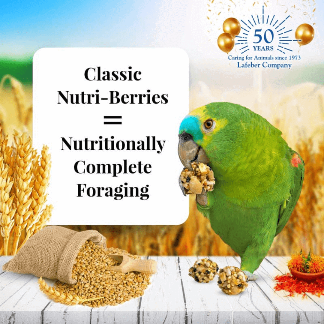 Lafeber Parrot Classic Nutri-Berries Premio – Snack para Loros 284 g - Imagen 2
