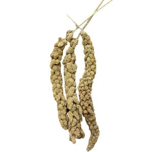 Panizo – Premio en Espiga para aves