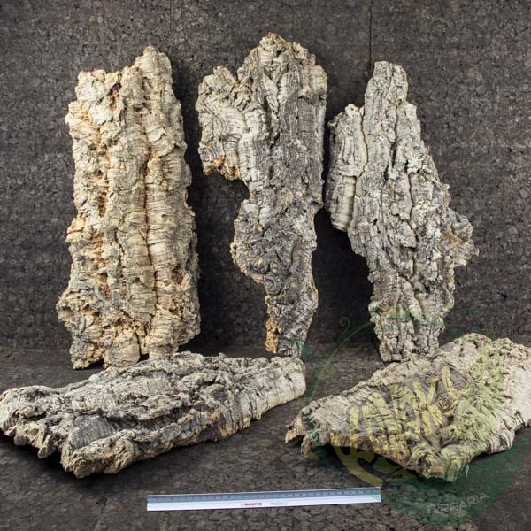 PANEL DE BORNIZO 50/70 x 20cm