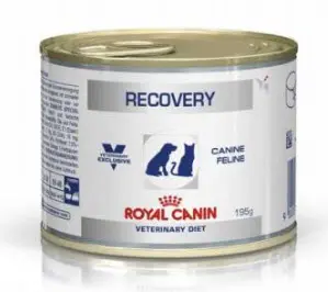 ROYAL VET CANINE RECOVERY CAJA 12X195GR