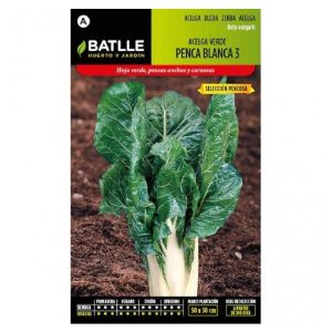 ACELGA VERDE BLANCA S.PENCOSA Sobre