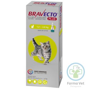 BRAVECTO PLUS GATO 1.2 A 2.8 KG Antiparasitario de 3 Meses