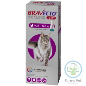 BRAVECTO PLUS GATO 6.25 A 12.5 KG Antiparasitario de 3 Meses