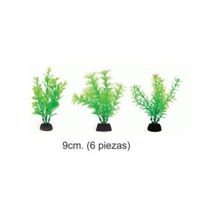 PLANTA AQUA GREEN 9cm. 6 piezas