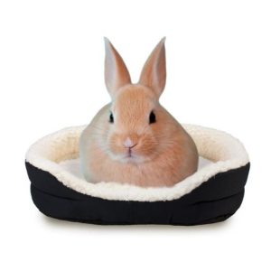 CUNA PARA CONEJOS 38x31cm.