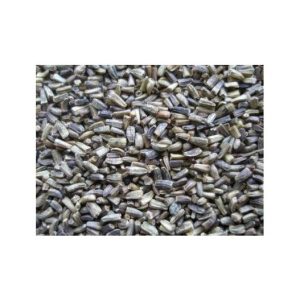 ESCAROLA VINCI 20 KG.