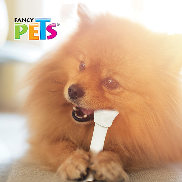 Fancy Pets – Carnaza Dental Premios para Perros 2 Piezas - Imagen 3