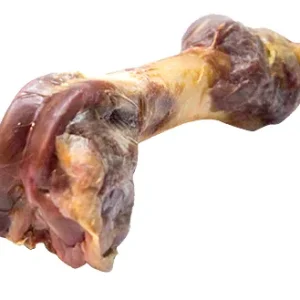 ALPHA SPIRIT CANINE HUESO JAMON GRANDE AL VACIO 12UDS