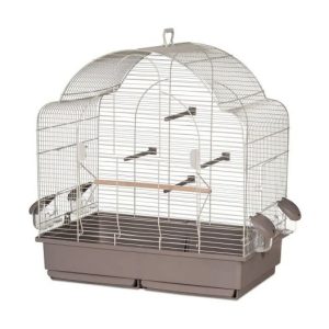 JAULA 653 CREMA. Agapornis