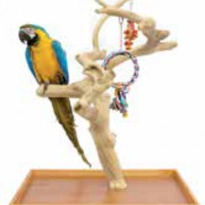 SUN PARROTS ARBOL MINI Large +COMEDERO JAVA Ref.bowl-s