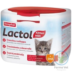 LACTOL KITTEN MILK 250 G Sustituto Lácteo para Kittens