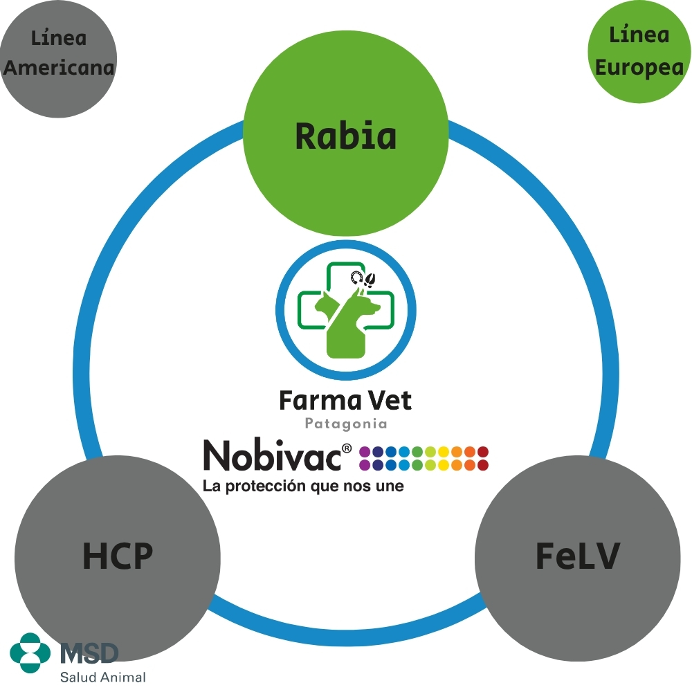 NOBIVAC RABIA MULTIDOSIS 10 DOSIS Vacuna Antirrábica - Imagen 5