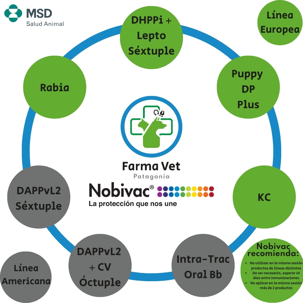 NOBIVAC RABIA MULTIDOSIS 10 DOSIS Vacuna Antirrábica - Imagen 4