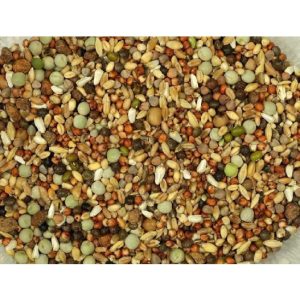 PALOMOS DEPORTIVO Sin Maiz 20 KG.