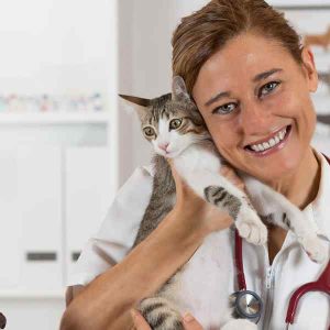 BCI Adult Soft Boot Sensor