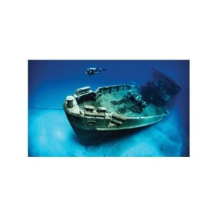 POSTER VINILO PECIO 61x40cm.