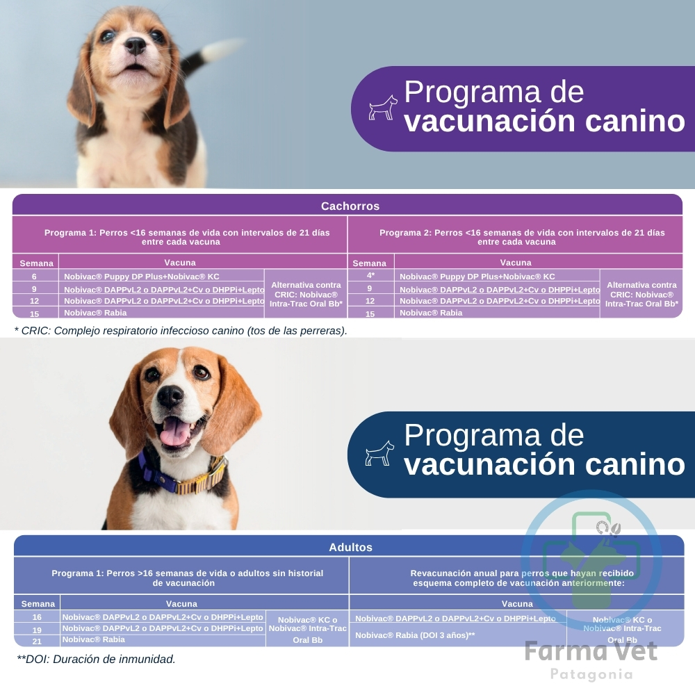 NOBIVAC RABIA MULTIDOSIS 10 DOSIS Vacuna Antirrábica - Imagen 2
