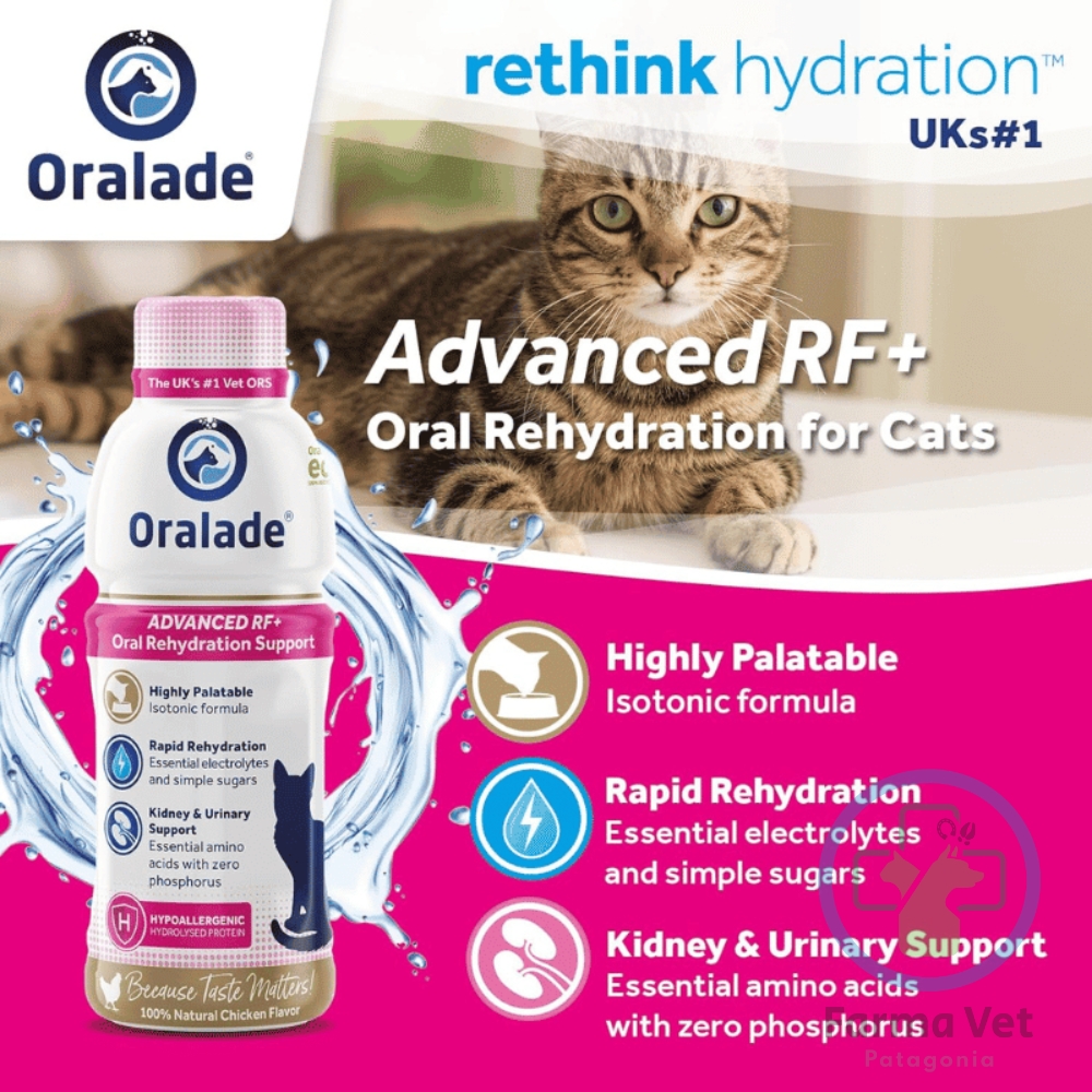 ORALADE ADVANCED RF+ GATO SABOR POLLO 330 ML Solución oral - Imagen 2