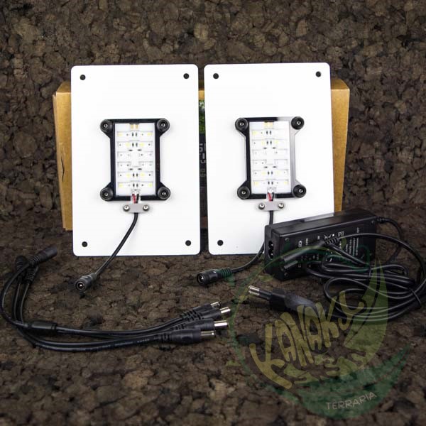 SKYLIGHT MID-30R INTENSE - Imagen 2