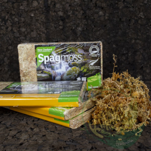 MUSGO SPHAGNUM NUEVA ZELANDA