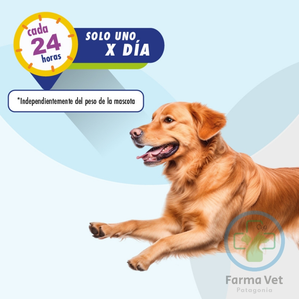 FLEXADIN ADVANCED 60 COMPRIMIDOS MASTICABLES - Imagen 2