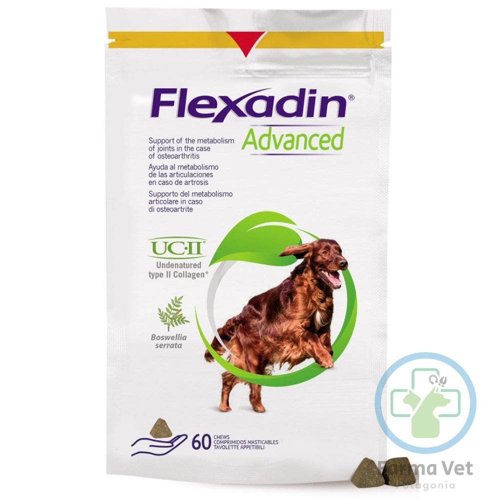 FLEXADIN ADVANCED 60 COMPRIMIDOS MASTICABLES