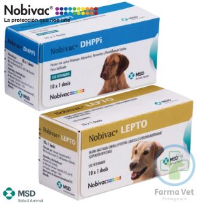 NOBIVAC DHPPI + LEPTO 10 DOSIS Vacuna Séxtuple para Perros