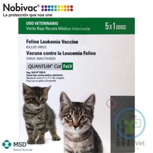 NOBIVAC CAT FELV 5 DOSIS Vacuna Leucemia Felina