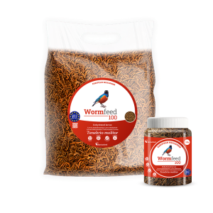 Wormfeed 100